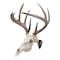 Allen Co EZ Mount Skull Hanger, Fixed, Brown 7228 - alternate 1